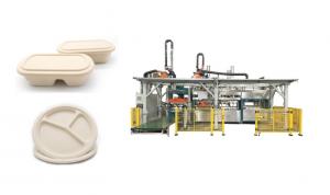 Quality Fully Automatic Wood Pulp Food Serving Tray Production Line wholesale