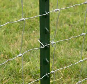 Quality 1000mm Y Shaped Fence Post Black Painted Steel wholesale