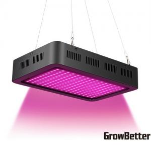 China Pink Lady SMD LED Grow Light for indoor plants grow 1000w grow lights on sale