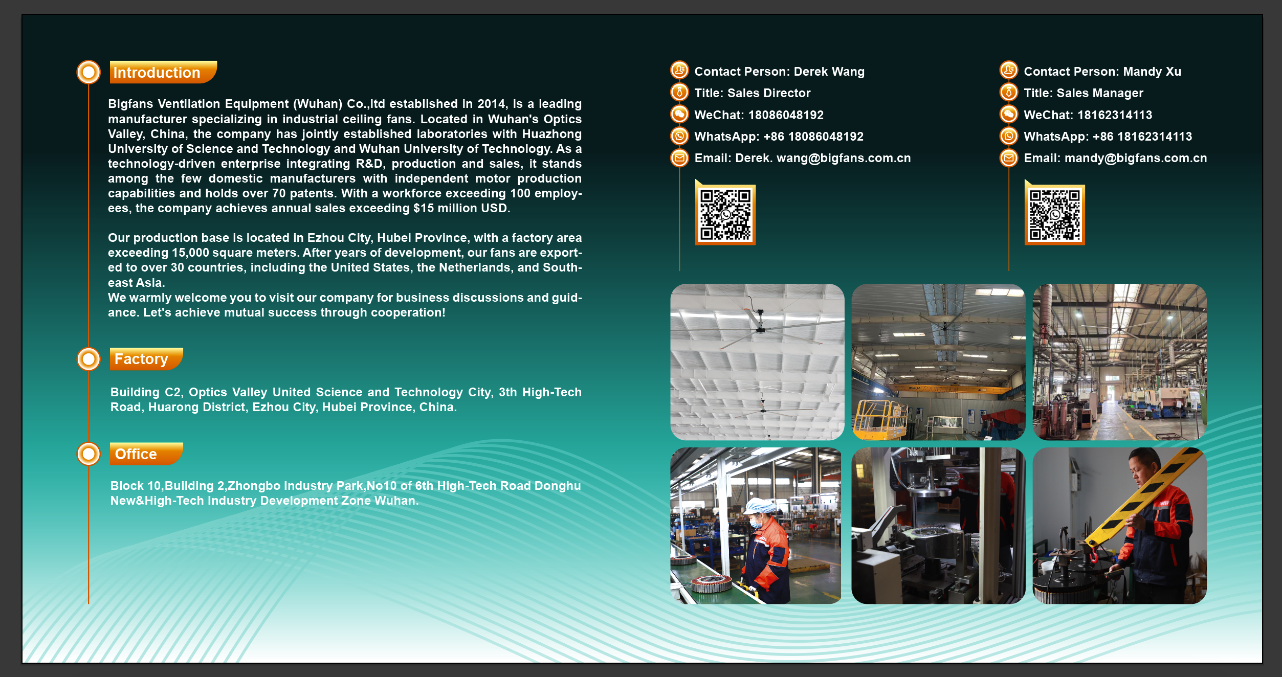 HVLS Industrial Ceiling Fans for Cattle Farm Cooling and Ventilation