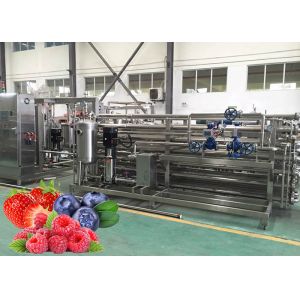 Quality Berry Paste Pulp Industrial Pasteurizer Turnkey Processing Line Easy Clean wholesale