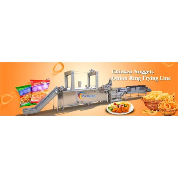 300 KG Capacity 304 Stainless Steel Automatic Fried Chicken Deep Fryer for Potato Chips