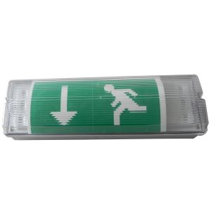 Quality IP65 Waterproof Battery Backup Emergency Light With Self Test Function wholesale