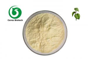 China Herbal Extract 30% 70% Kavalactones Natural Kava Root Extract Powder on sale