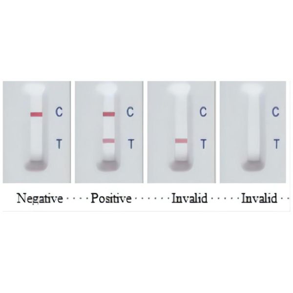 Porcine Reproductive And Respiratory Syndrome Virus PRRSV Antibody Test Kit For Swine
