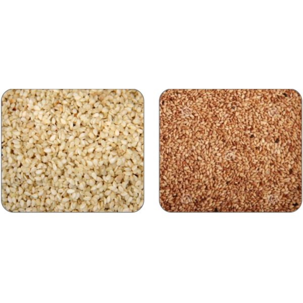 1 Chute Sesame Seeds sorter Machine White 0.3-0.5 T/H Agricultural Sorting Equipment