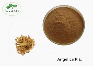 China Medicinal Decoction Pieces Radix Pure Angelica Extract Powder Providing Energy on sale
