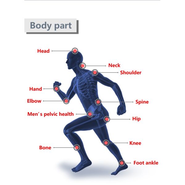 DC60-2 Physical Therapy 2 In 1 Cryolipolysis Slimming Machine 450VA Shock Wave Painless