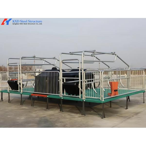 Multifunctional Pig Farrowing Crates Galvanized Pig Farrowing Pen