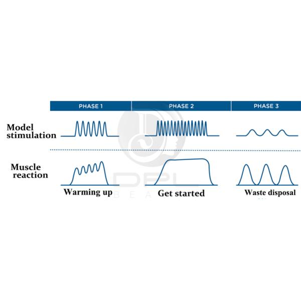 Portable EMS Sculpting Machine Professional Body Slimming Muscle Shaping