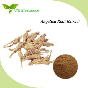 China Halal Certified Angelica Extract Ligustilide Ferulic Acid  Dong Quai Extract on sale