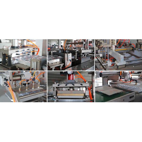 Pneumatic Blister Automatic Packing Machine Gold Coin Packaging Machine