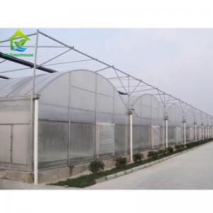 Quality Plastic Sheet Hydroponic Greenhouse Systems Multi Span wholesale