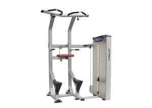 Quality Assisted Dip Chin Strength Training Machine , Professional Matrix Bodybuilding Equipment wholesale