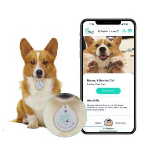 China Personalized Editable Tag Upgraded Custom NFC Blank Pet Tracking Epoxy NFC Tags on sale