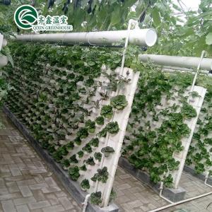 Quality Boost Potato Harvest Large Plastic Pipes Multi-Span Agricultural Greenhouses wholesale