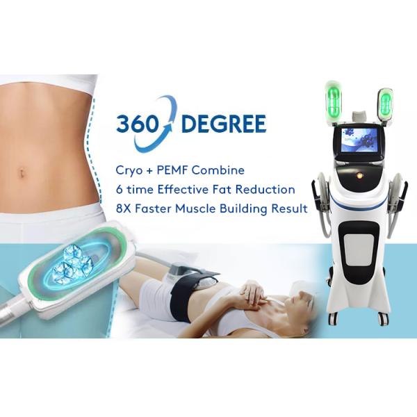 Fat Cell Cryoslimming Machine Cryotherapy 360 Cryoslim Fat Cell Freezing Machine