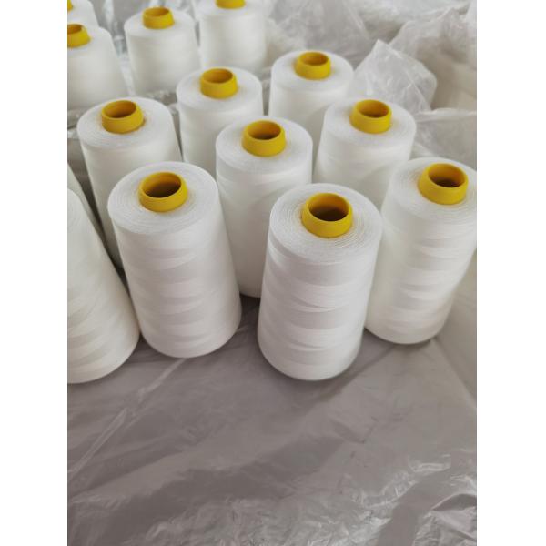 OEKO-TEX Polyester Sewing thread 30s/2
