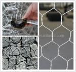 Galvanized/PVC Coated Retaining Wall Mesh Box Wire Mesh for Various Applications