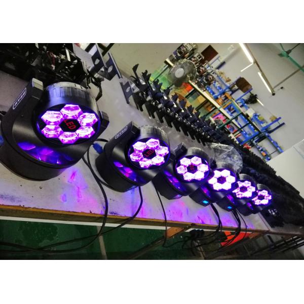 Cheap 6*10W Small Bee Eye Led LED Moving Head Light For DJ Disco Stage