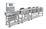 Horizontal Weight Sorter Machine With Pusher Rejector PLC Control