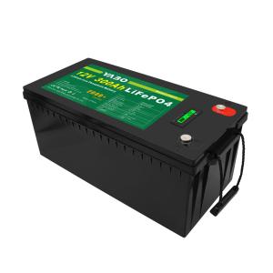 Prominent Capacity Storage Discharge Current 150A China LCD Lithium Ion Solar