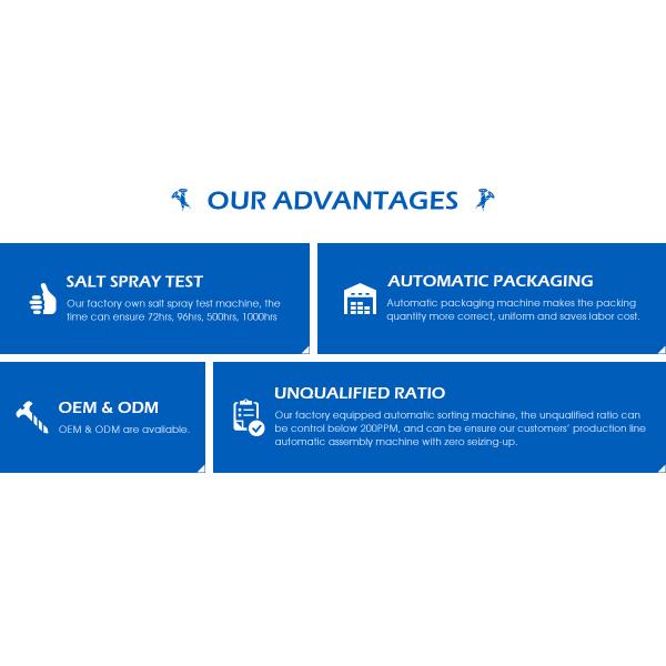 Chipboard Screw Countersunk Ribbed Head Torx Drive Inox 304