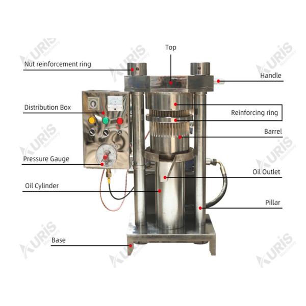 Vertical Sesame Hydraulic Oil Pressing Machine Walnut Tea See Sunflower Extruding