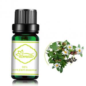 Quality MSDS Tea Tree 100% Pure Plant Essential Oil For Aroma Diffuser wholesale