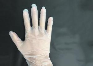 China Smooth  Powder Free Vinyl Gloves , Disposable Sterile Gloves Eco Friendly on sale