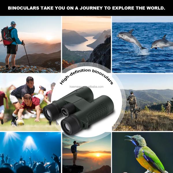 C 8X Compact 8X24 Binoculars Waterproof Lightweight for Camping Concerts Outdoor Sports Wildlife Viewing
