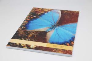China Butterfly Pattern CMYK Full Color Paperback Offset Paper Notebook Printing Services on sale