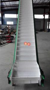                  Belt Conveyor Machine Connecting Multi Head Weigher Packing Machine Automatic Feeding Machine             