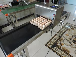Quality Egg Industry Automatic Batch Code Printing Machine With Thermal Foam Type Nozzle wholesale