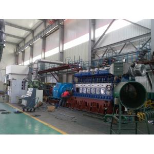 60MW Electric Station Heavy Fuel Oil Power Plant 3 Phase Diesel Engine