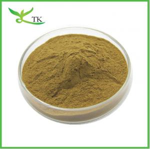 Quality Valeric Acid 0.8% Valerian Root Plant Extract Powder Valerian Extract Powder wholesale