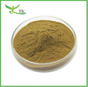 Quality Natural African Mango Seed Extract Powder 10:1 Mango Seed Extract Weight Loss Raw Material wholesale