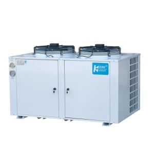 Quality Low Temp Cold Storage Refrigeration Units Chiller Fit R22 Refrigerant wholesale