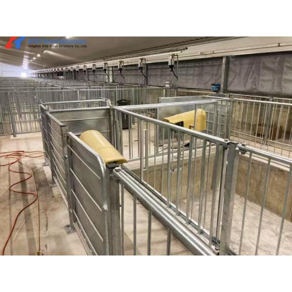 Multifunctional Pig Farrowing Crates Galvanized Pig Farrowing Pen