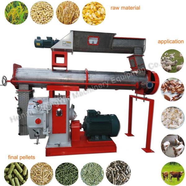 Siemens Motor 10T/H Pellet Making Machine , Pig Rabbit 1.5-12MM Animal Pellet Machine