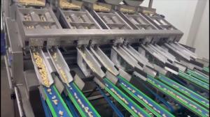 Quality 8-Lane Intelligent Cashew Grading Machine with AI Sorting and Custom Design Capability AC220V ±5% Power Supply wholesale