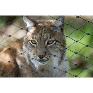 SS316 Zoo 50mm Hole Bird Aviary Mesh For Parrots