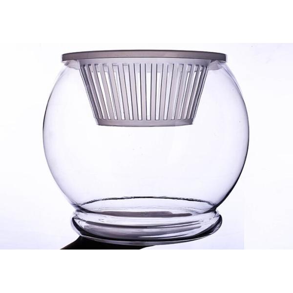 Water culture hydroponic plant glass transparent glass vase container green planter round fish tank water plant plants