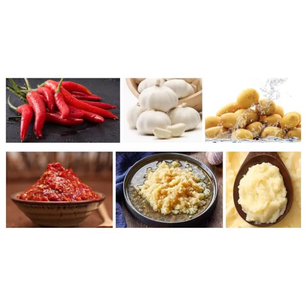 800kg/H 1000kg/H SUS304/420 Puree Making Machine