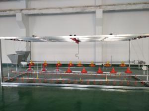 Quality Broiler Automatic Chicken Feeder System Using Microcontroller wholesale