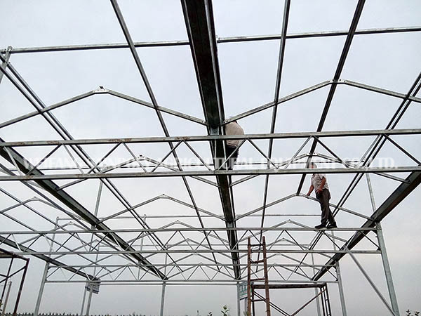 Snow Resistance PC Sheet Greenhouse Gutter Height 3.0-6.0m For Plant Vegetable