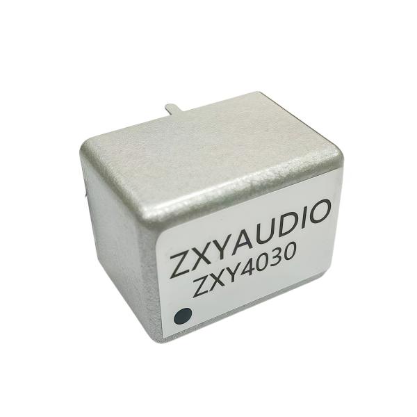 Customized Model ZXY4030 Permalloy Audio Transformer With Metal Shield Pins 5+4