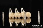 Ultra-precision processing Zirconia Implants All-Zirconium Integrated Crown