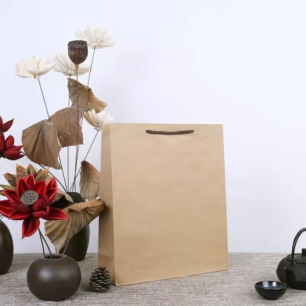 brown craft Promotional Paper Bags Zipper Top for Shoes clothing