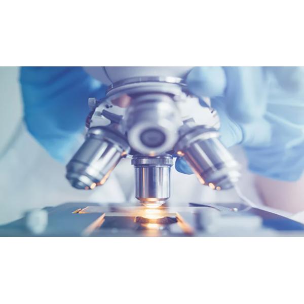 CE Colloidal Gold 5 Minutes HBsAg Antigen Fast Test Cassette